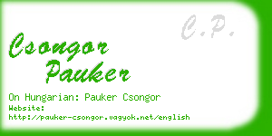 csongor pauker business card